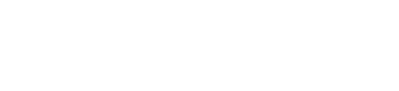 Digital Salt IT & Marketing